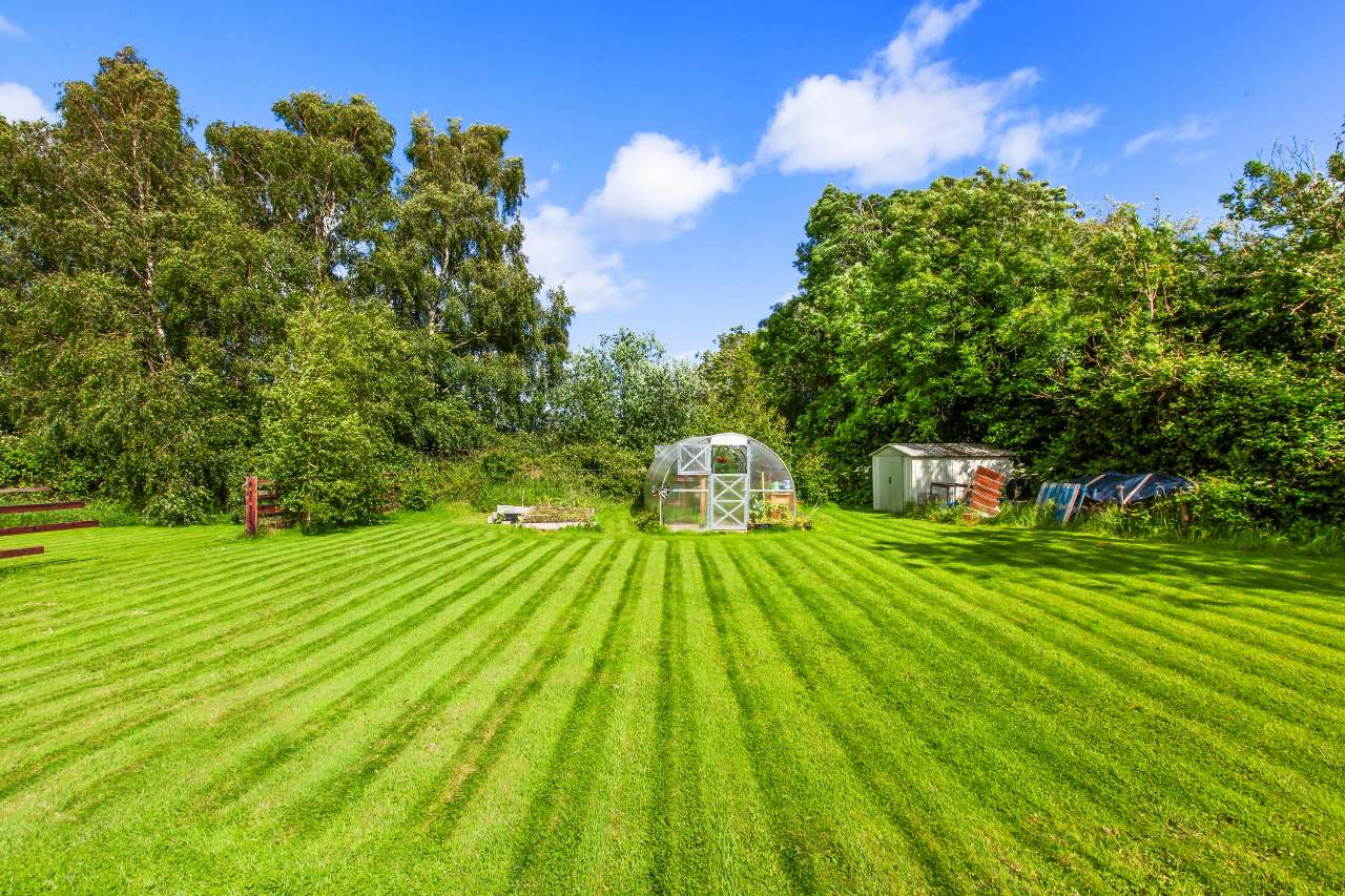 Greenhouse and lawns in the grounds