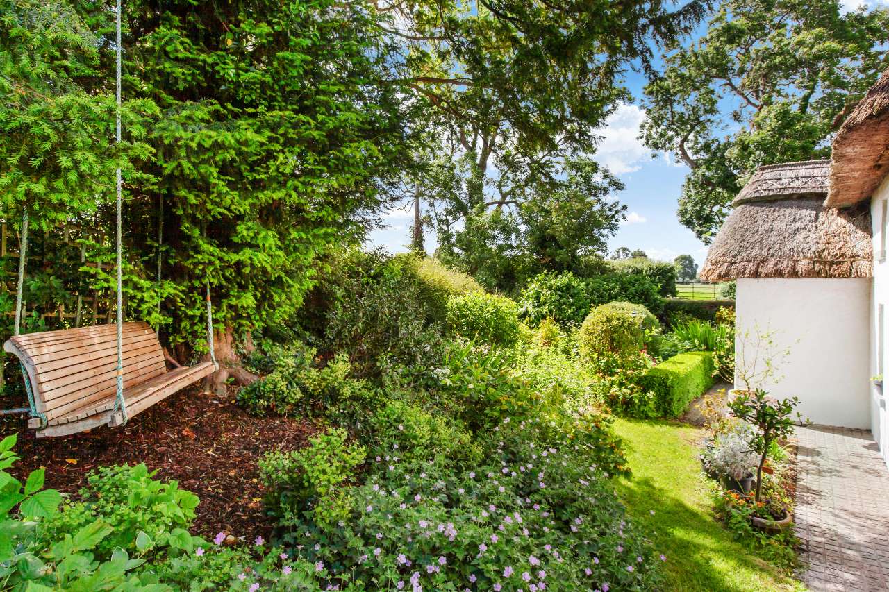 Wooden swing seat beneath mature garden trees